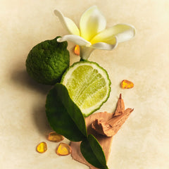 Skin Perfecting Body Lotion Z2