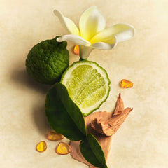 Scent Layering Trio Z9